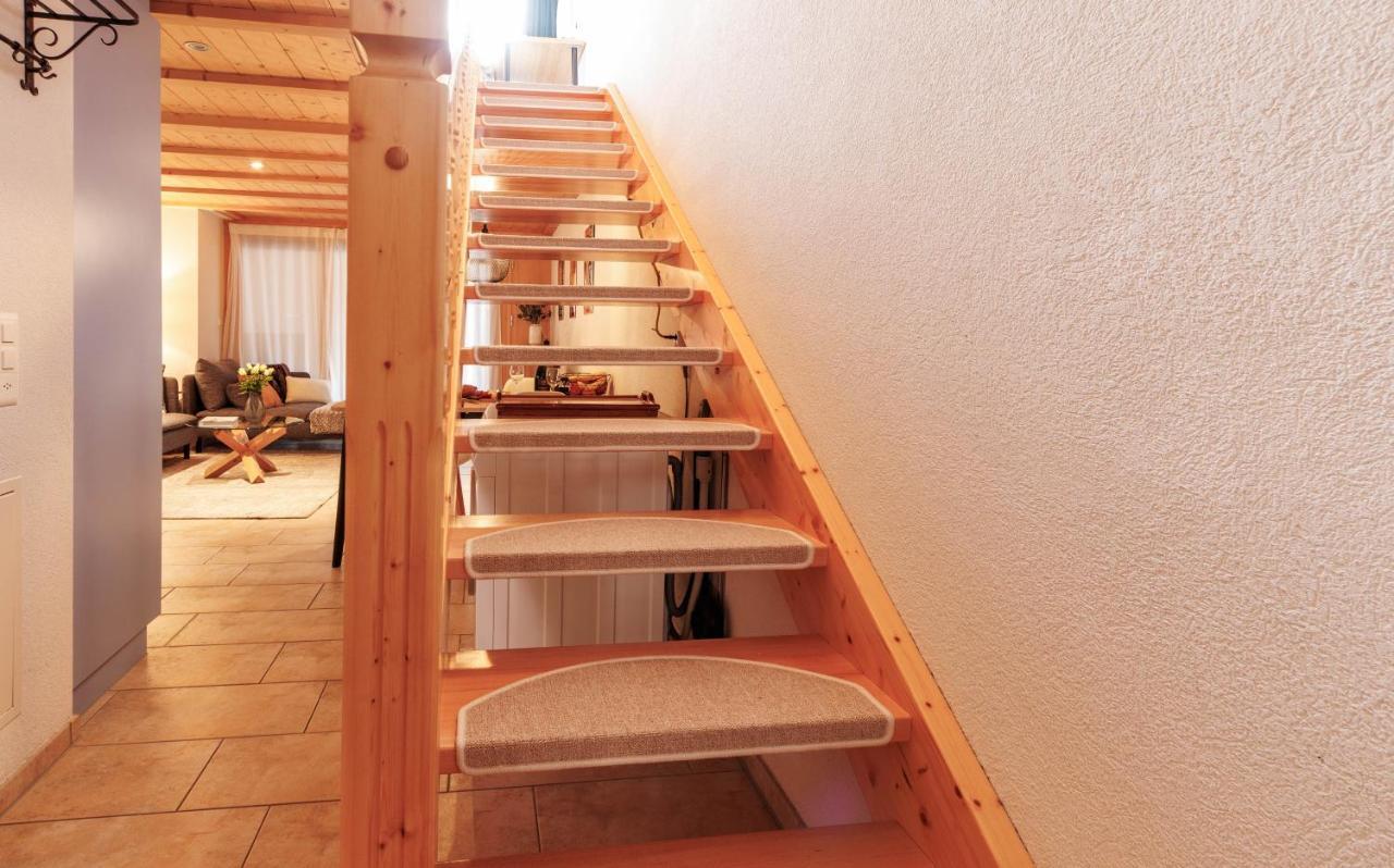 Kinohaus 3 Appartamento